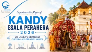 Experience-the-Magic-of-Kandy-Esala-Perahera-2026-300x171